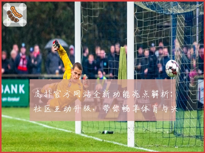 虎扑官方网站全新功能亮点解析：社区互动升级，带你畅享体育与兴趣的专属天地