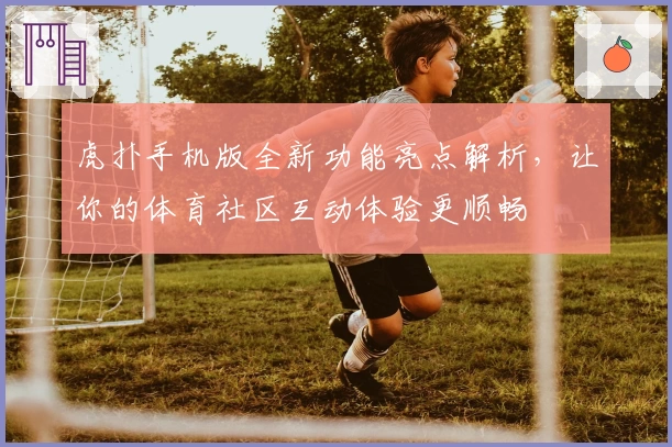 虎扑手机版全新功能亮点解析，让你的体育社区互动体验更顺畅