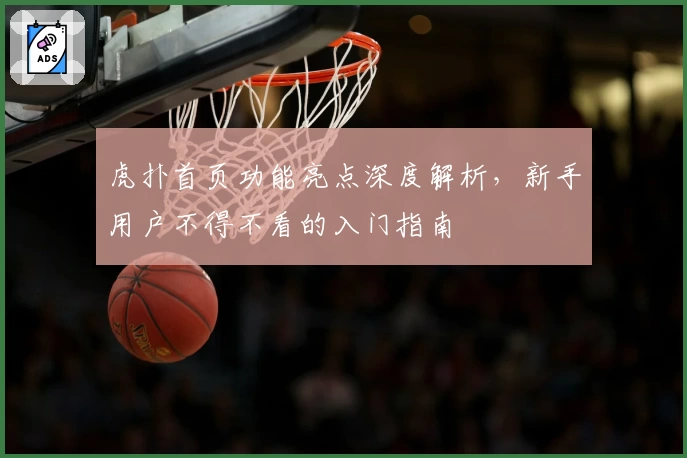 虎扑首页功能亮点深度解析，新手用户不得不看的入门指南
