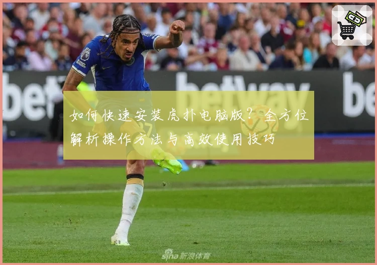 如何快速安装虎扑电脑版？全方位解析操作方法与高效使用技巧