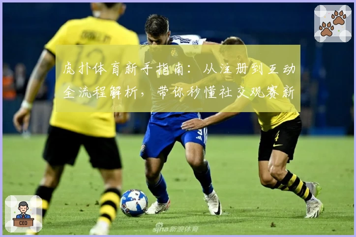 虎扑体育新手指南：从注册到互动全流程解析，带你秒懂社交观赛新方式